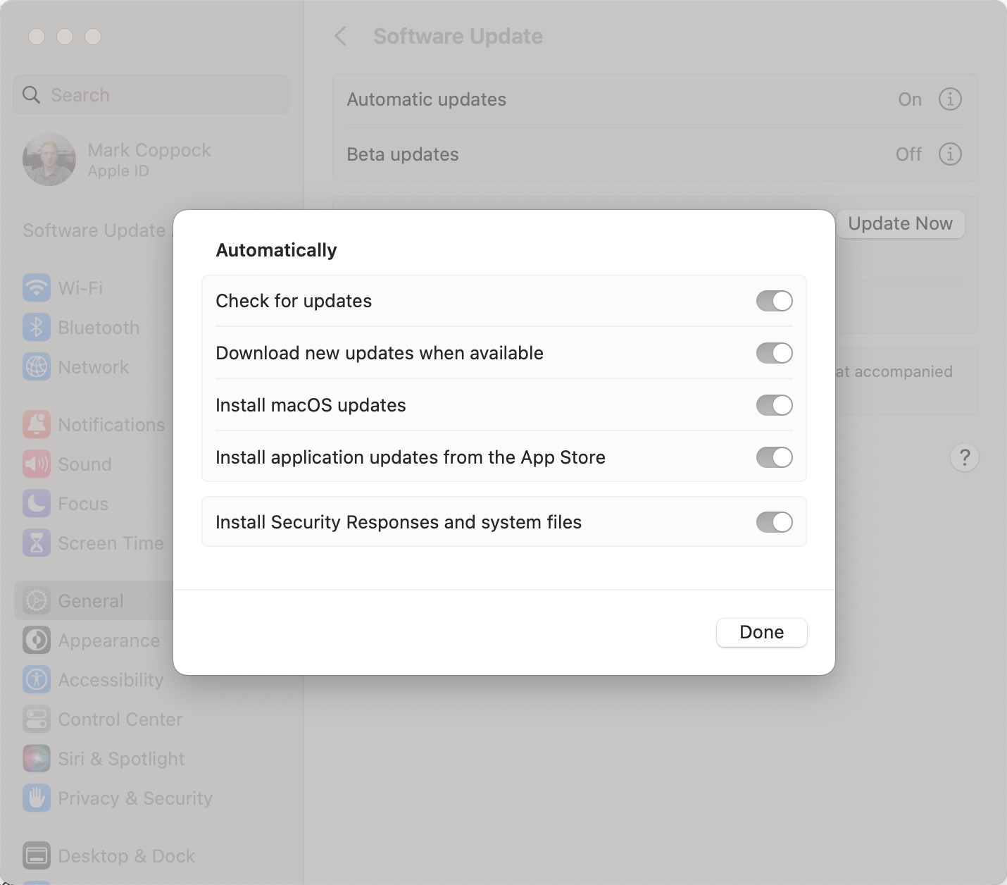 MacOS screenshot showing automatic update options.