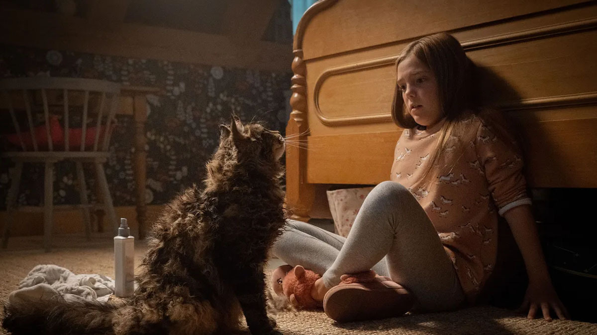 Church the cat and Jeté Laurence in Pet Sematary.