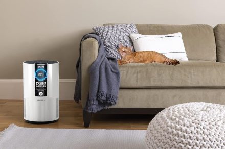 Pet Odors Be Gone: This top-rated Shark air purifier is 38% off