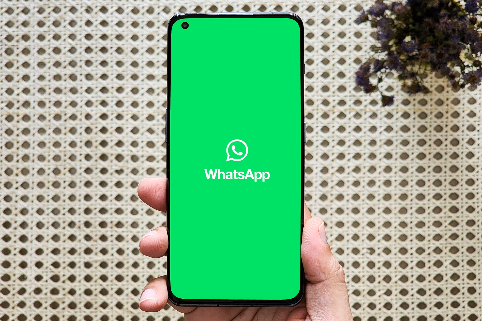 WhatsApp rolls out Phone Number Privacy feature in Beta update. All you  need to know | Mint