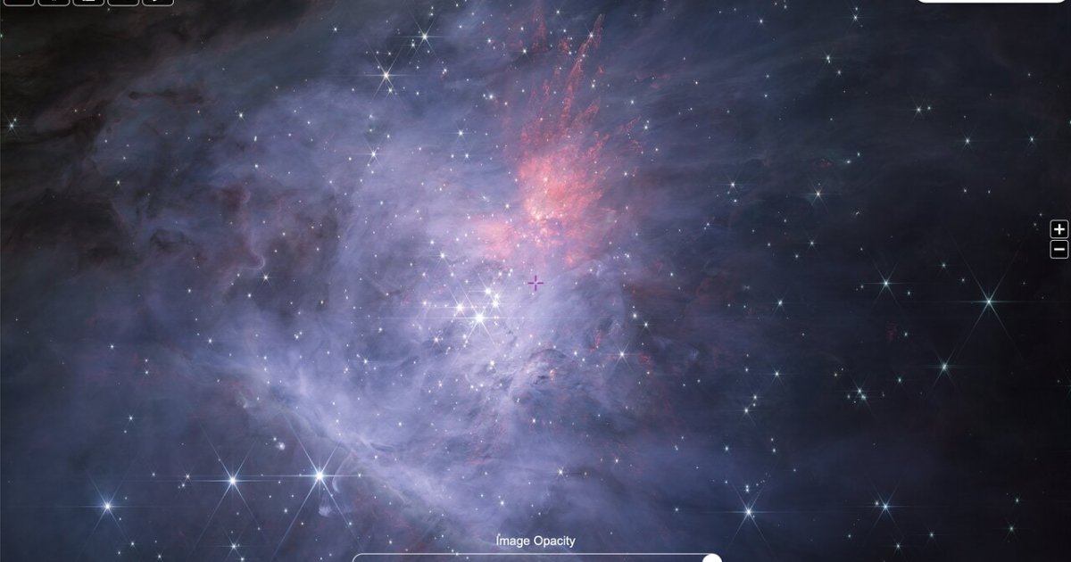 Zoom into an incredibly detailed James Webb image of the Orion nebula