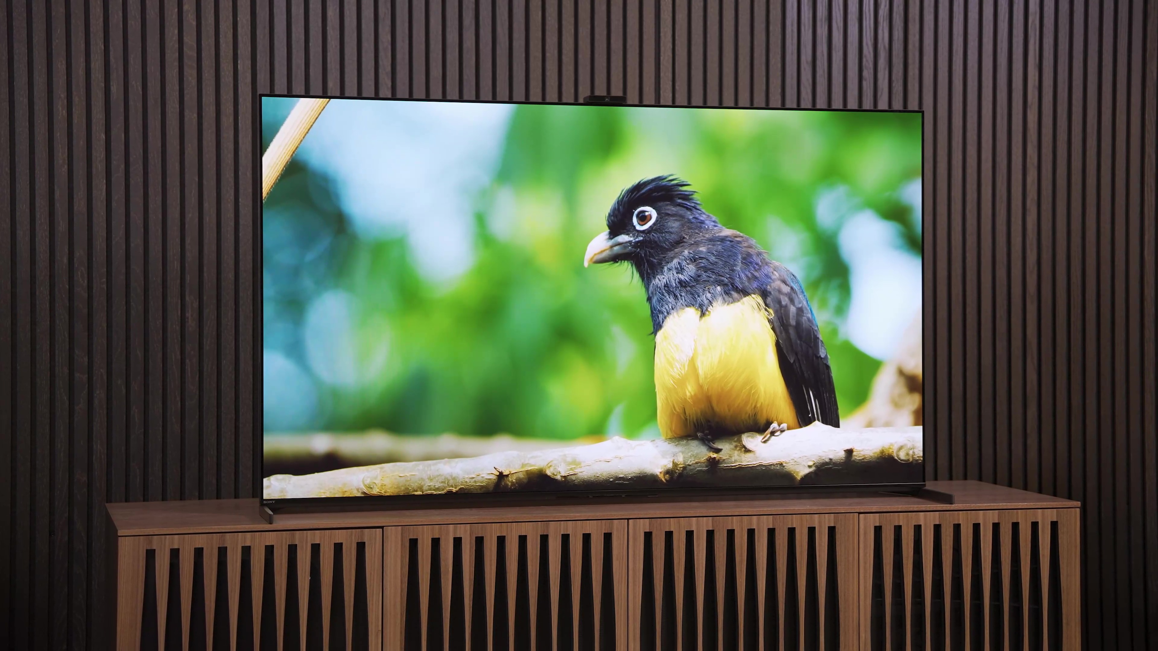 Sony Bravia XR A95K OLED TV review: The best 4K TV ever