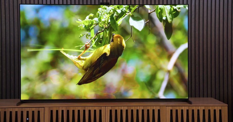 LG A2 OLED – Early Bird Club