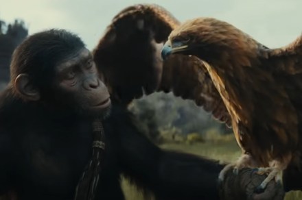 A new era begins in first Kingdom of the Planet of the Apes trailer