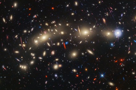 Webb and Hubble work together to image the Christmas Tree Galaxy Cluster