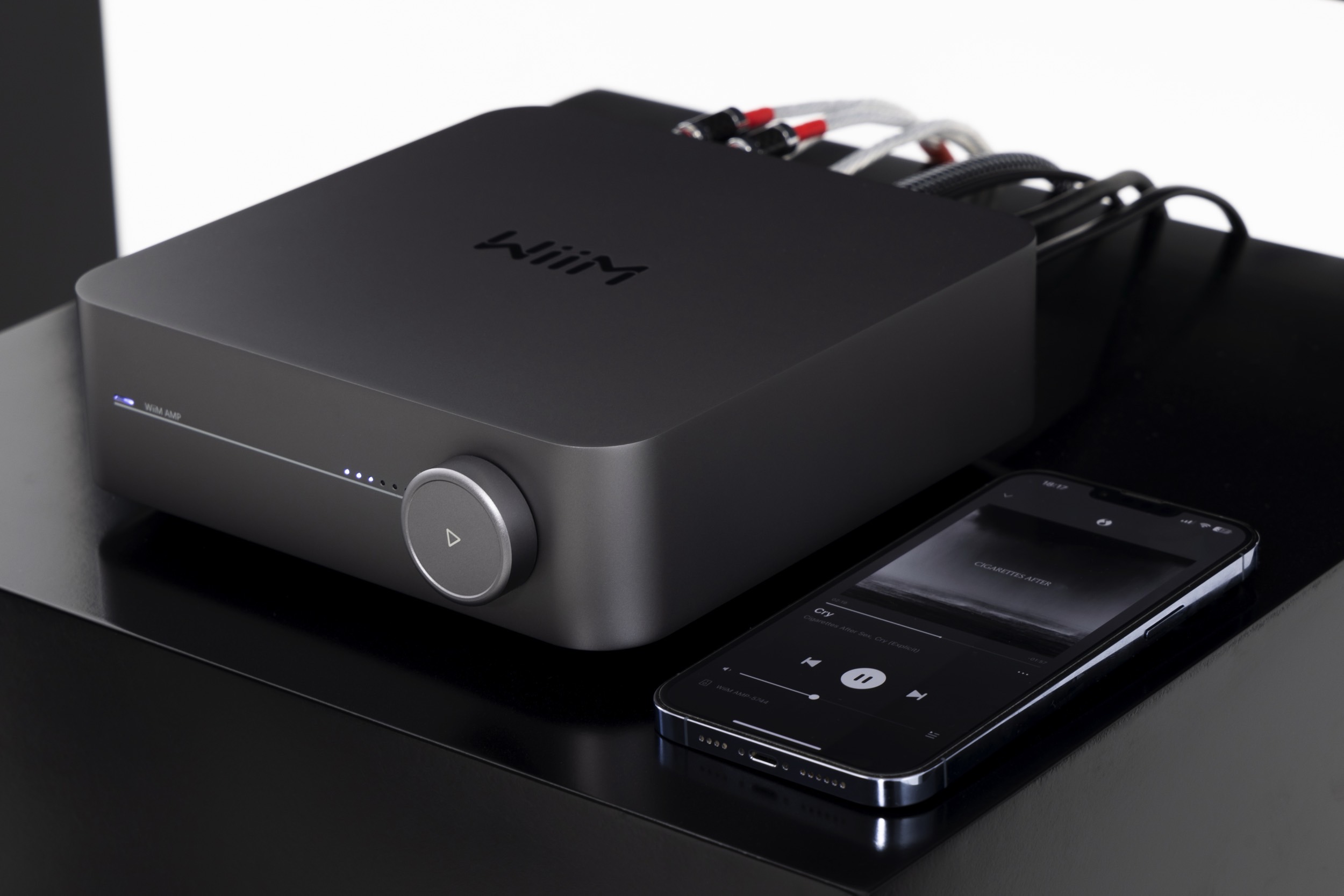 WiiM Pro with Remote Hi-Res Network Streamer – Skylabs Audio