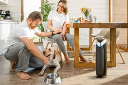 Best Prime Day air purifier deals: Cheap units under $100