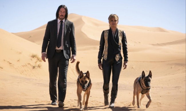 John Wick and Halle Berry walk in the desert with dogs.