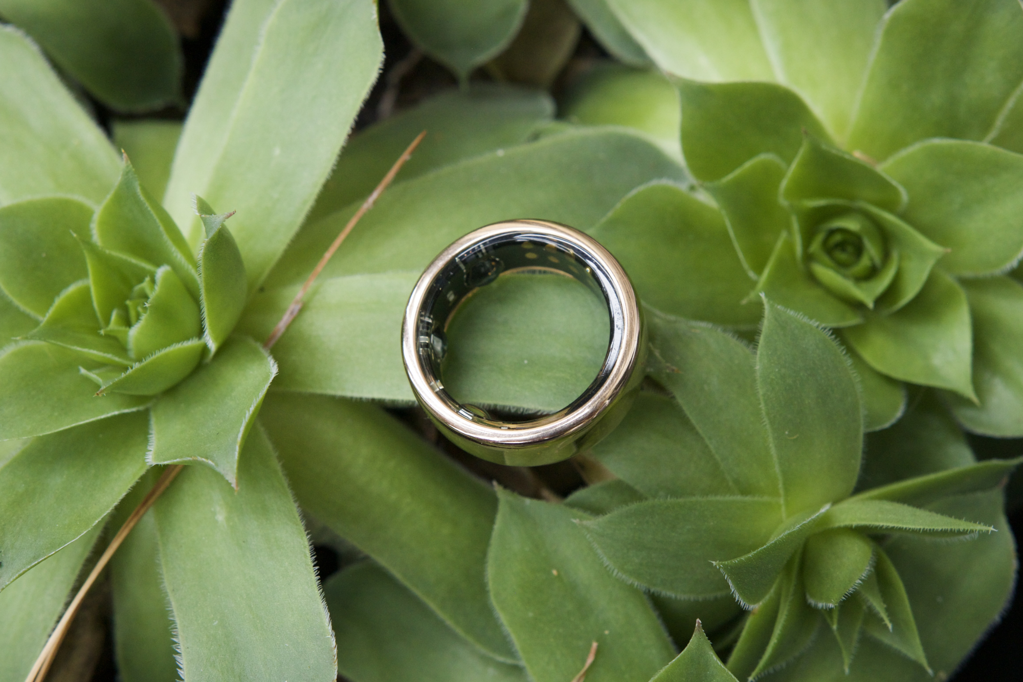 Кольцо Oura становится еще более умным кольцом для женщин