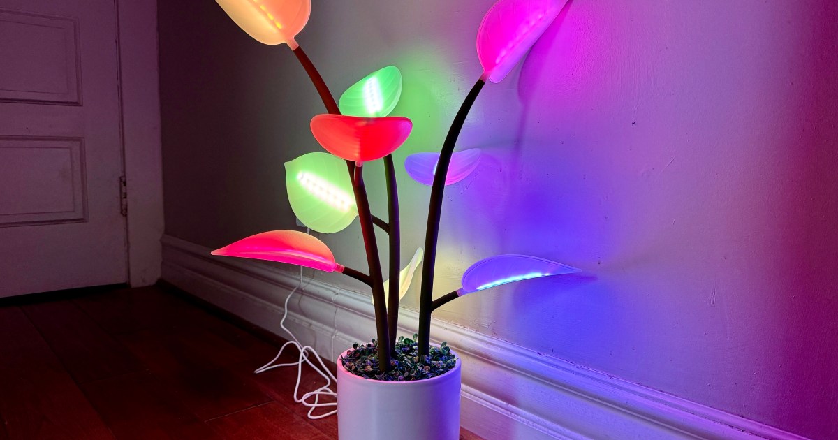 I controlled this smart plant with my iPhone and I’m in love | Digital ...