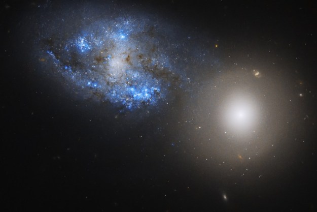 Hubble images our ghostly neighborhood galaxy NGC 6684