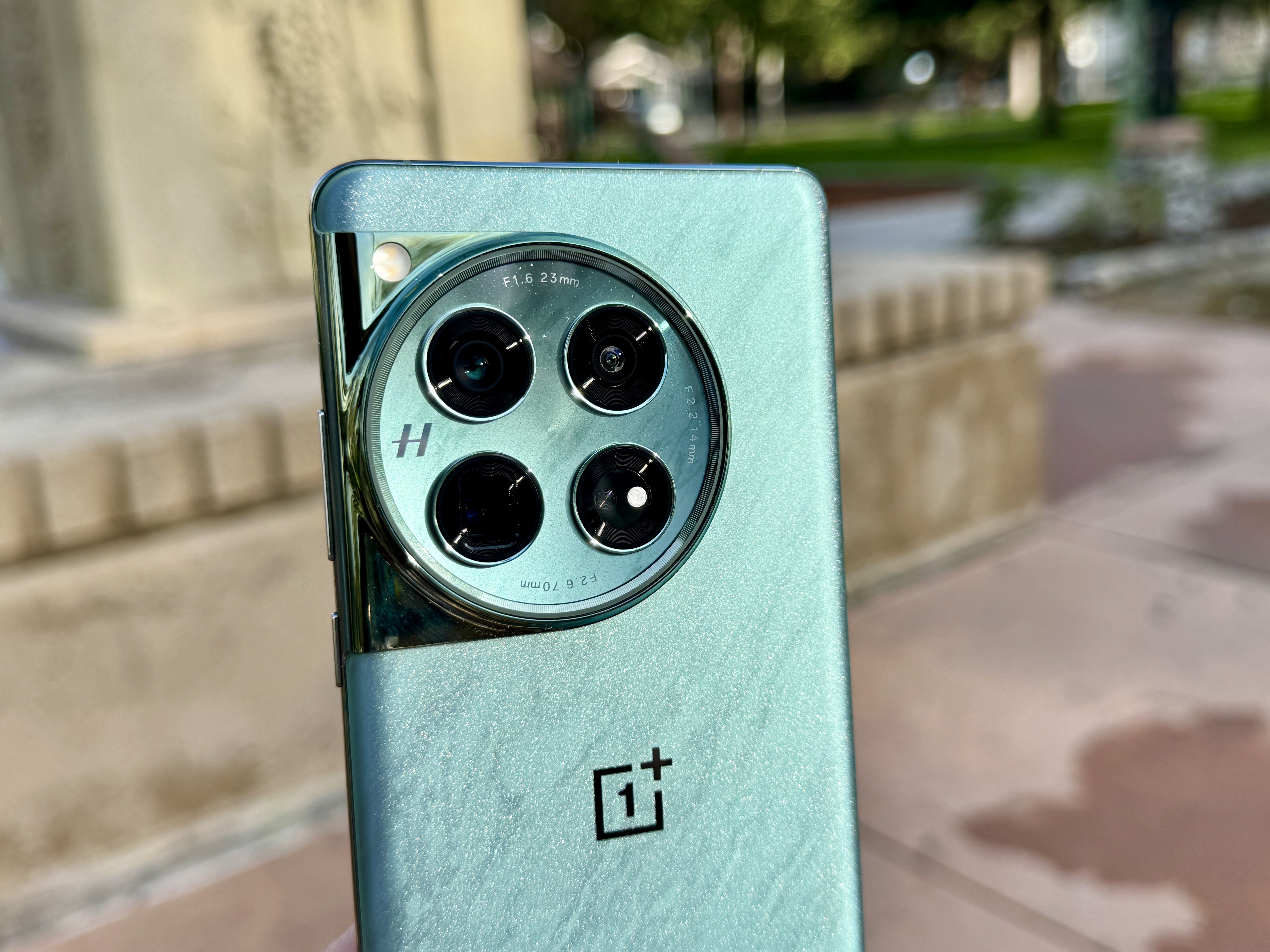 OnePlus 12 Flowy Emerald showing off the back glass.