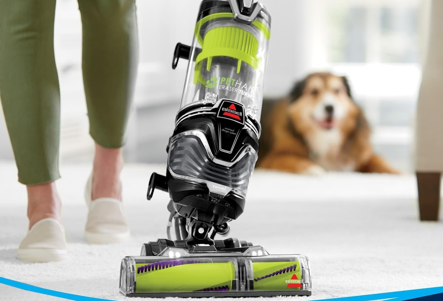 The 7 best vacuums for pet hair from Dyson Shark and more