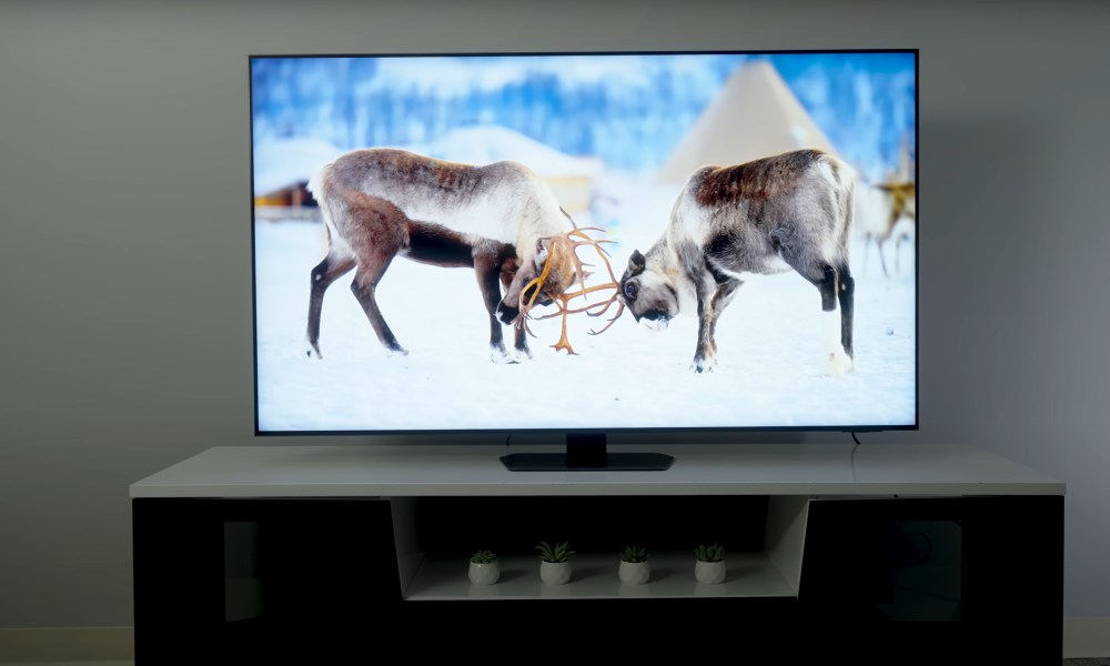 Two majestic elk lock horns in a snowy scene shown on a Samsung QN90D.