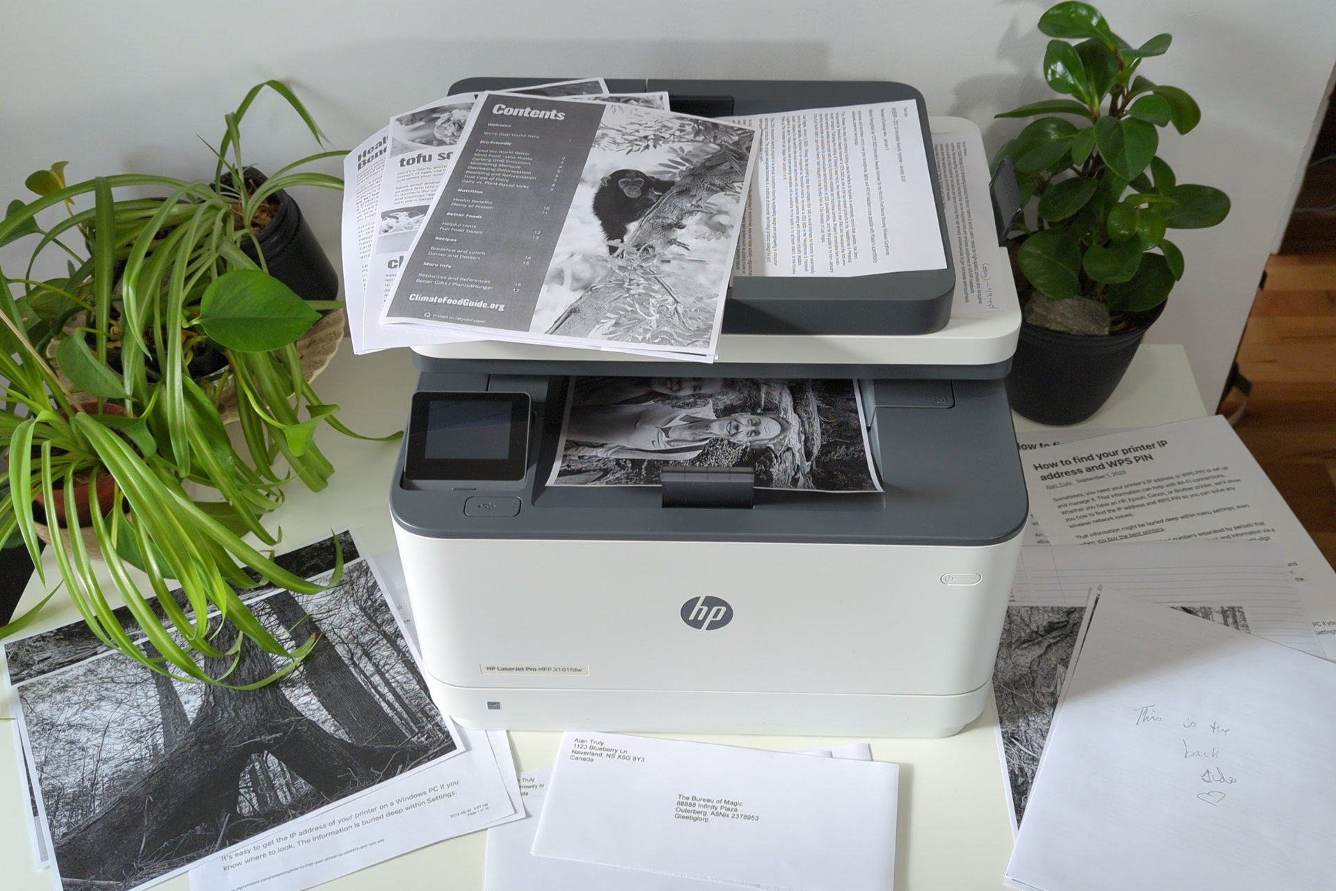 Обзор HP LaserJet Pro MFP 3101fdw: быстрый бизнес-принтер для домашнего офиса