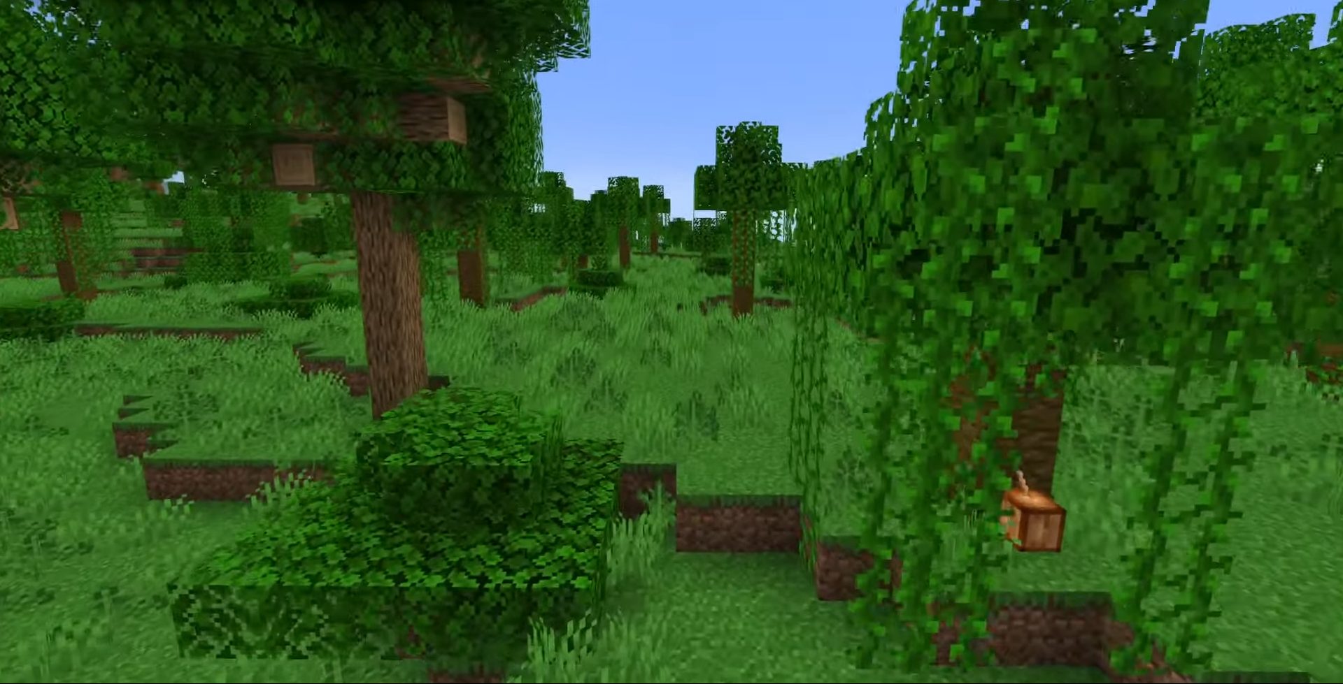 Une jungle Minecraft.