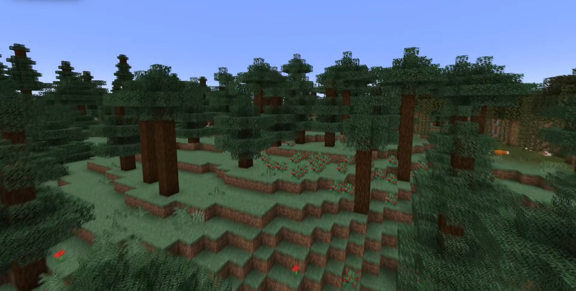 Das Taiga-Biom in Minecraft.