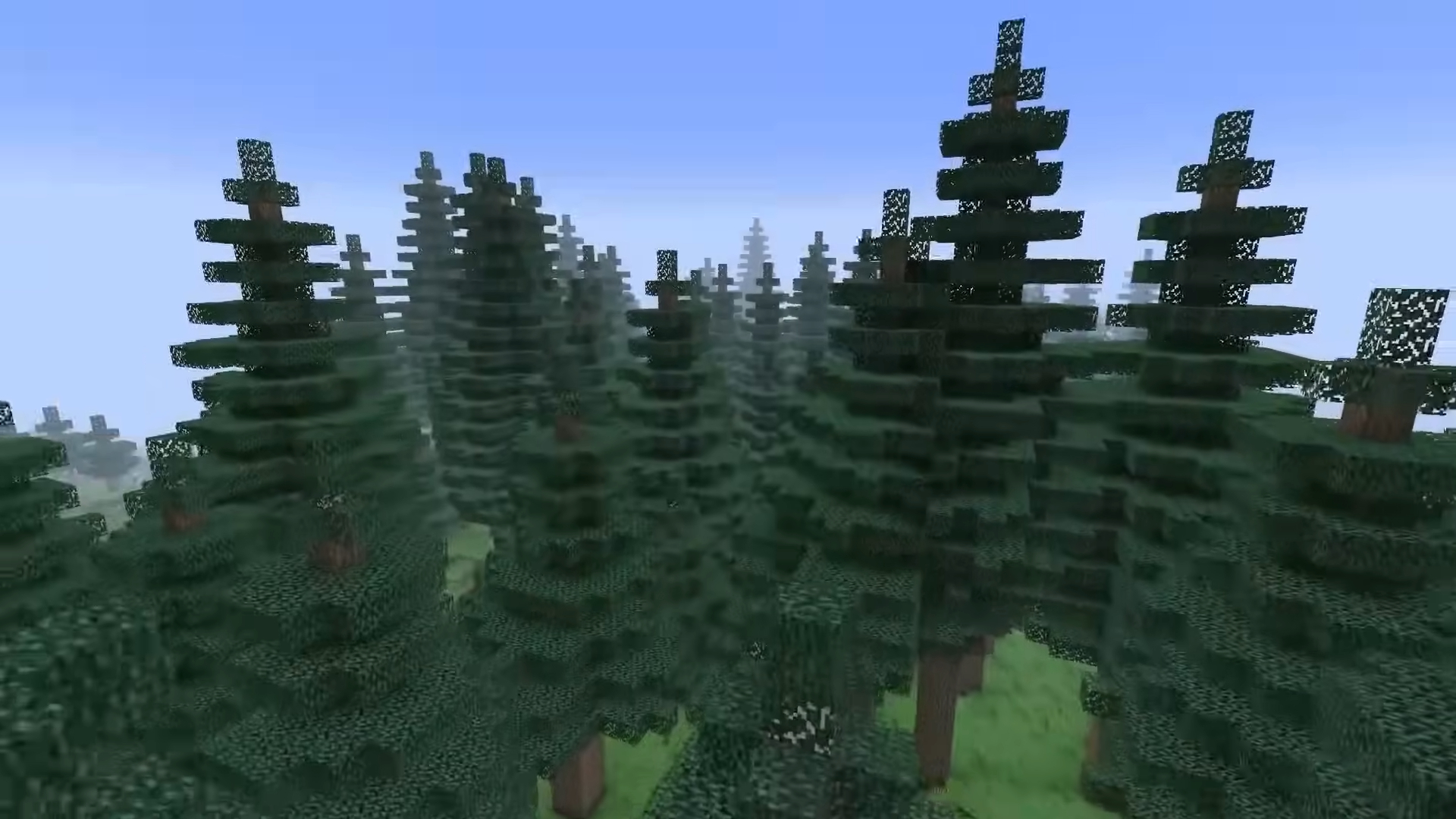 A forest biome in Minecraft.