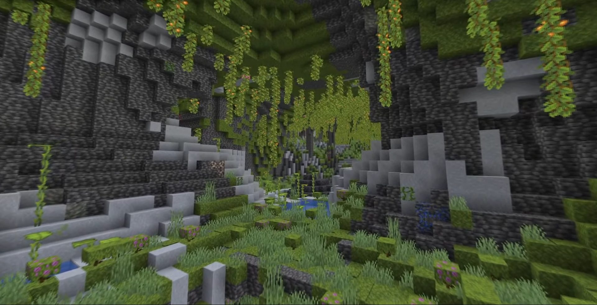 Une grotte luxuriante dans Minecraft.