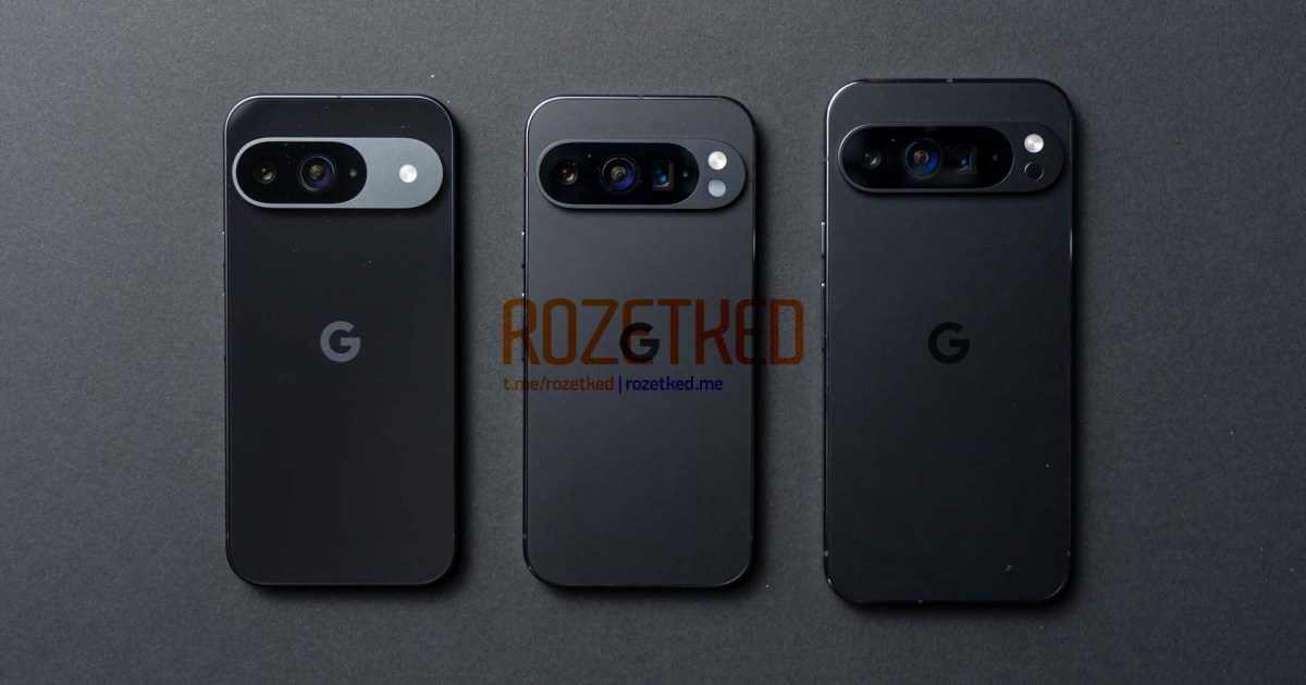 This is our best look yet at the Google Pixel 9 series