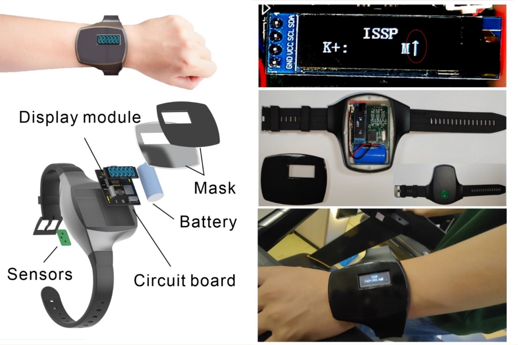Ingeniería de un reloj inteligente con sensor de sudor.