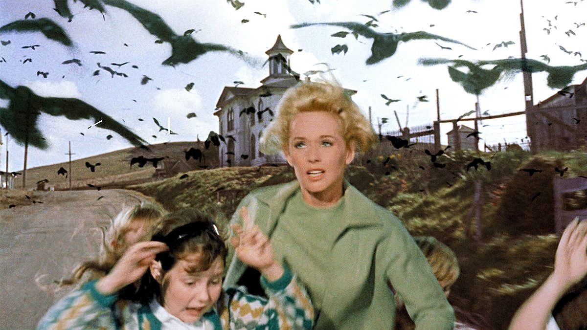 Tippi Hedren as Melanie with a child running away from a group of birds in The Birds.