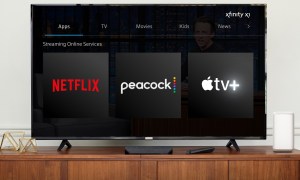 A handout image of a TV showing the logos of Netflix, Peacock, and Apple TV Plus.