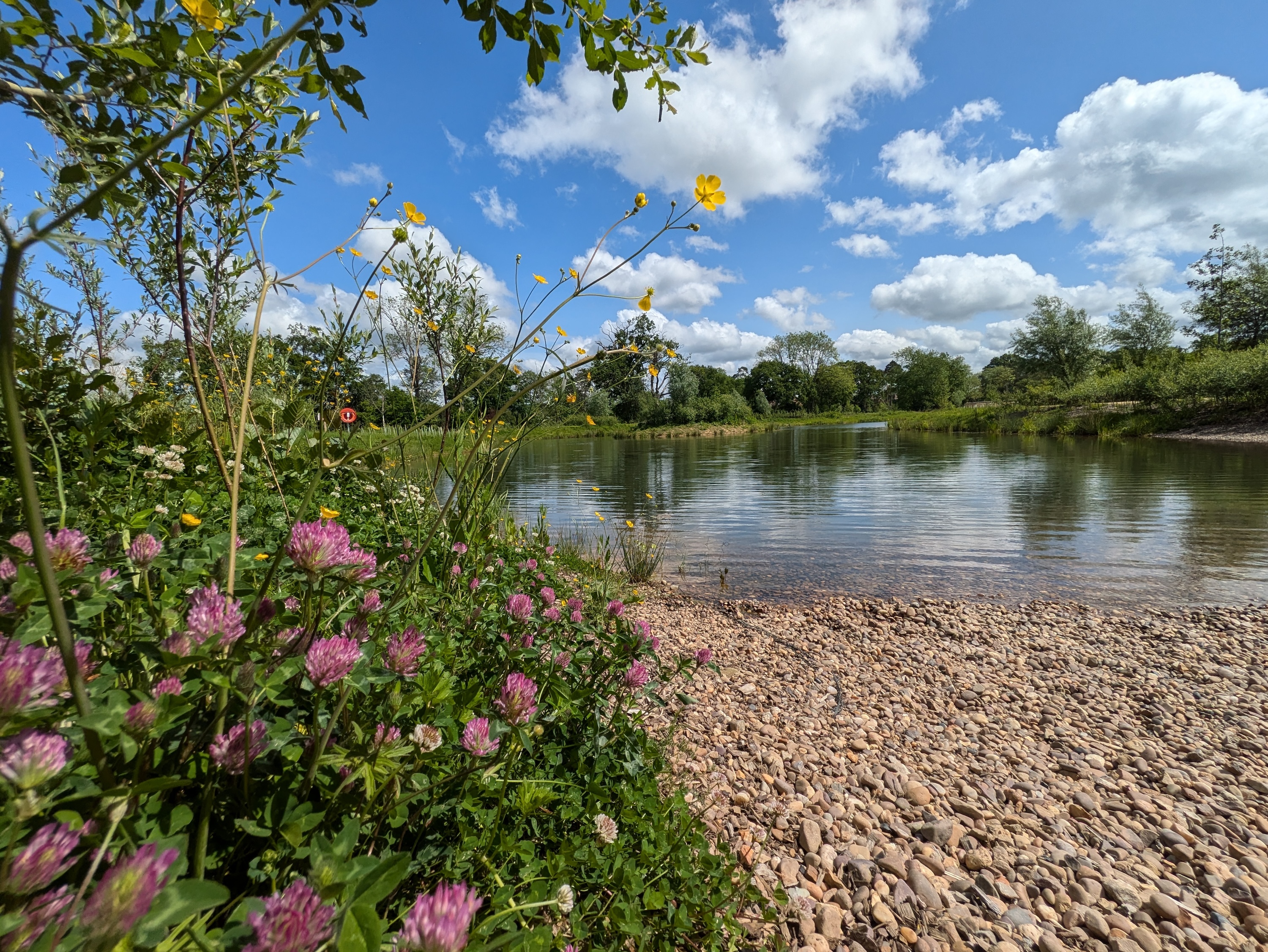 A photo taken with the Google Pixel 8a's wide-angle camera.