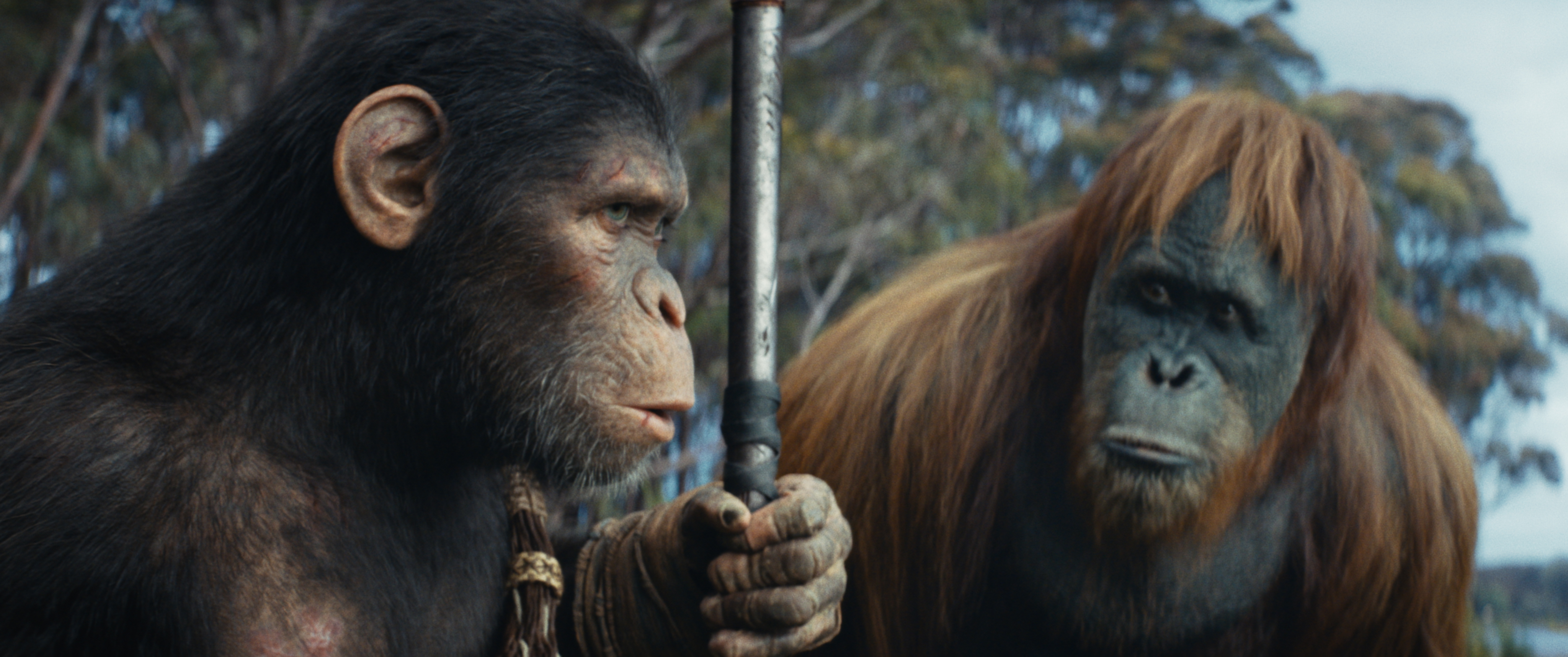 10 best Planet of the Apes movies, ranked