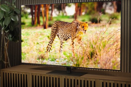 What is OLED TV? The premium display technology explained