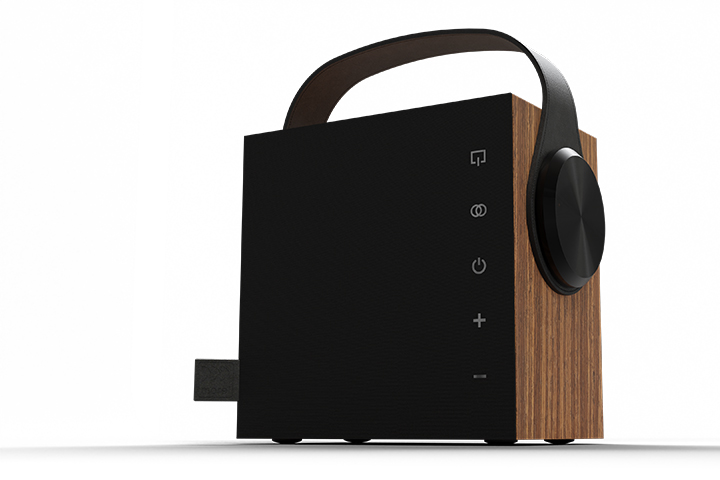 Morel Audio BIGGIE portable speaker in Oak Wood.