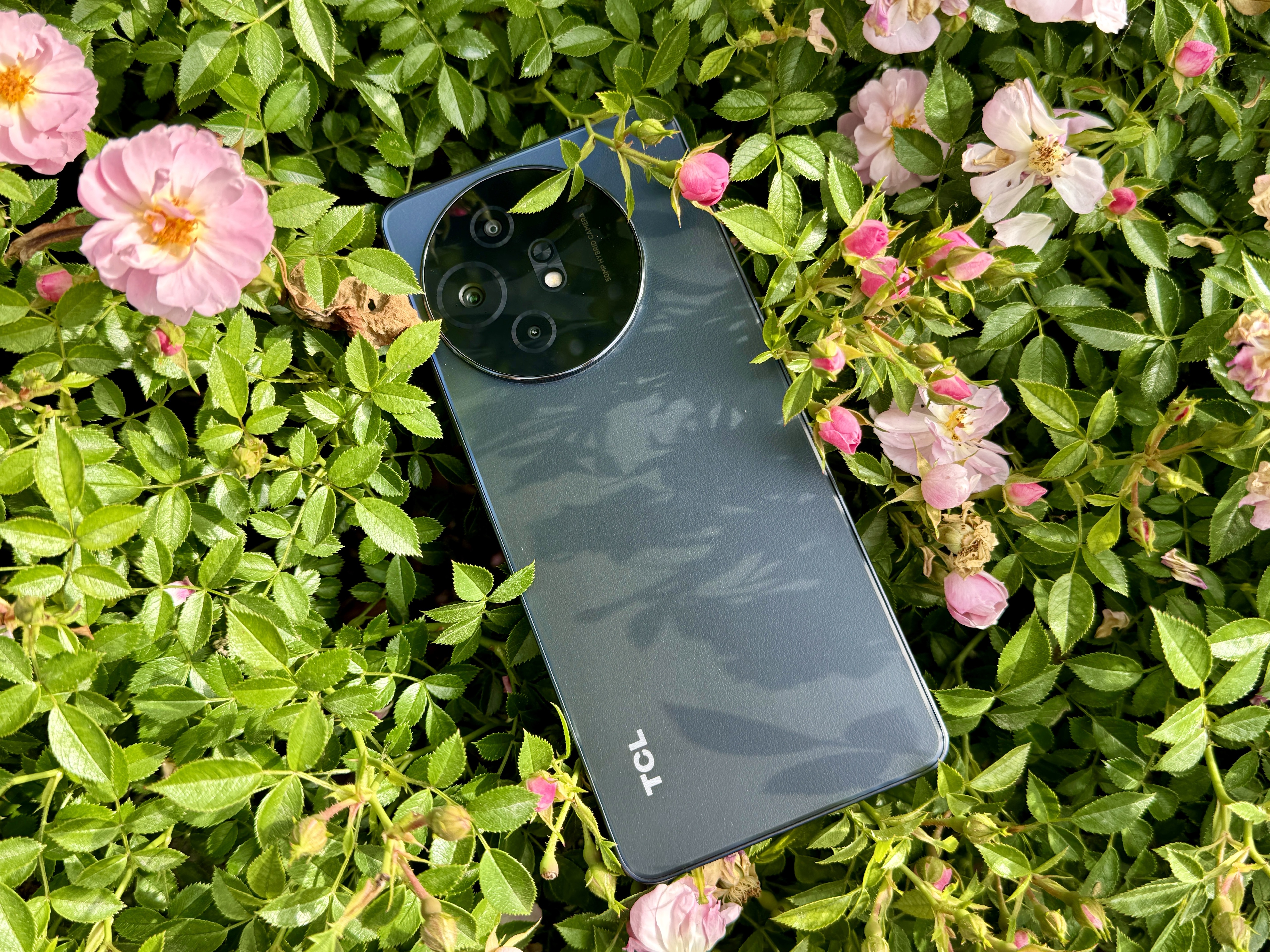 TCL 50 XL 5G in a bush.