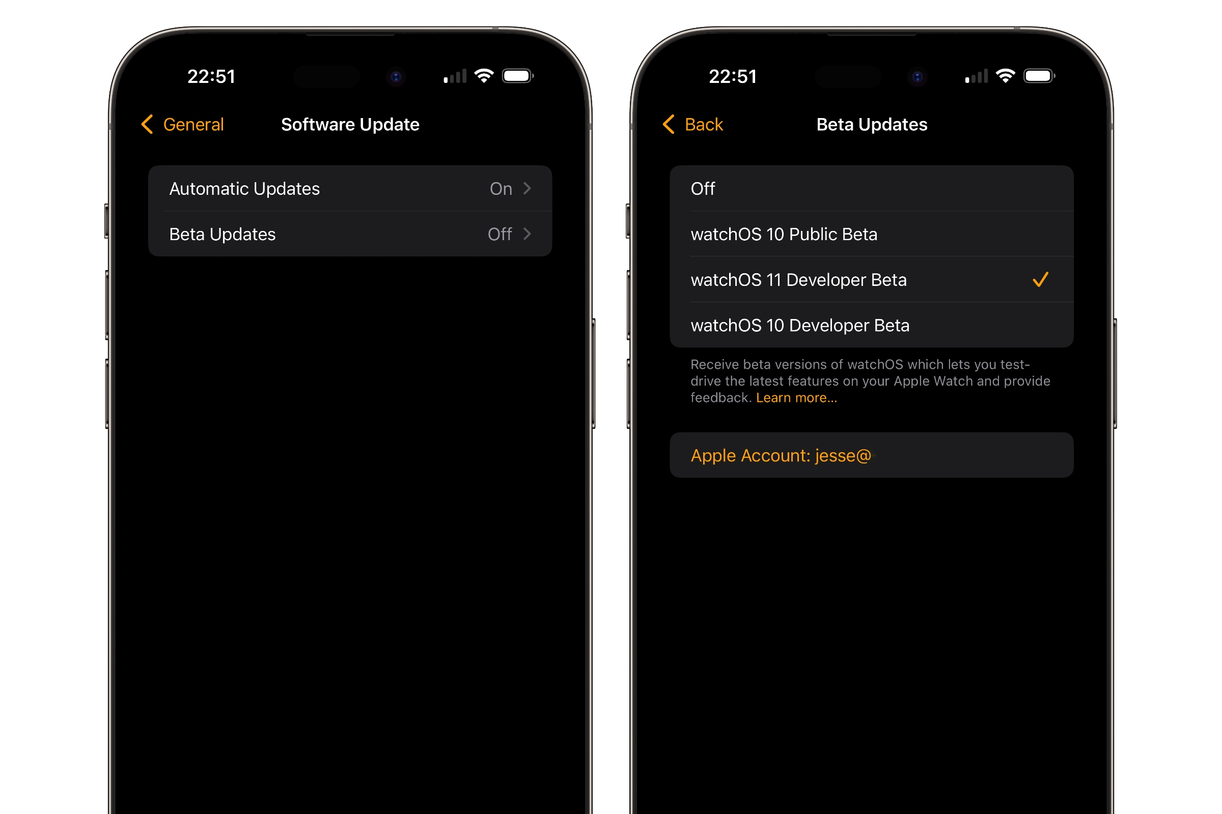 iPhone showing settings to enable watchOS 11 Developer Beta updates.