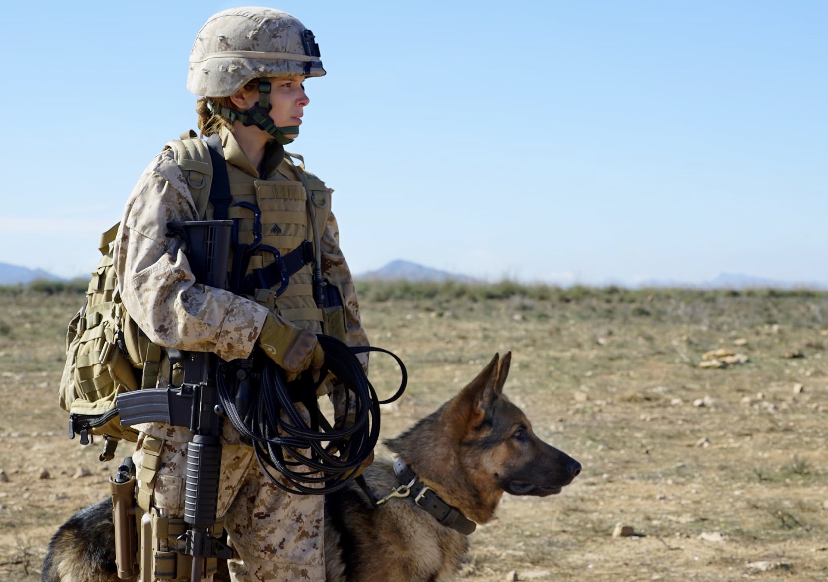 Un soldat tient un chien alors qu’il se tient debout et regarde.