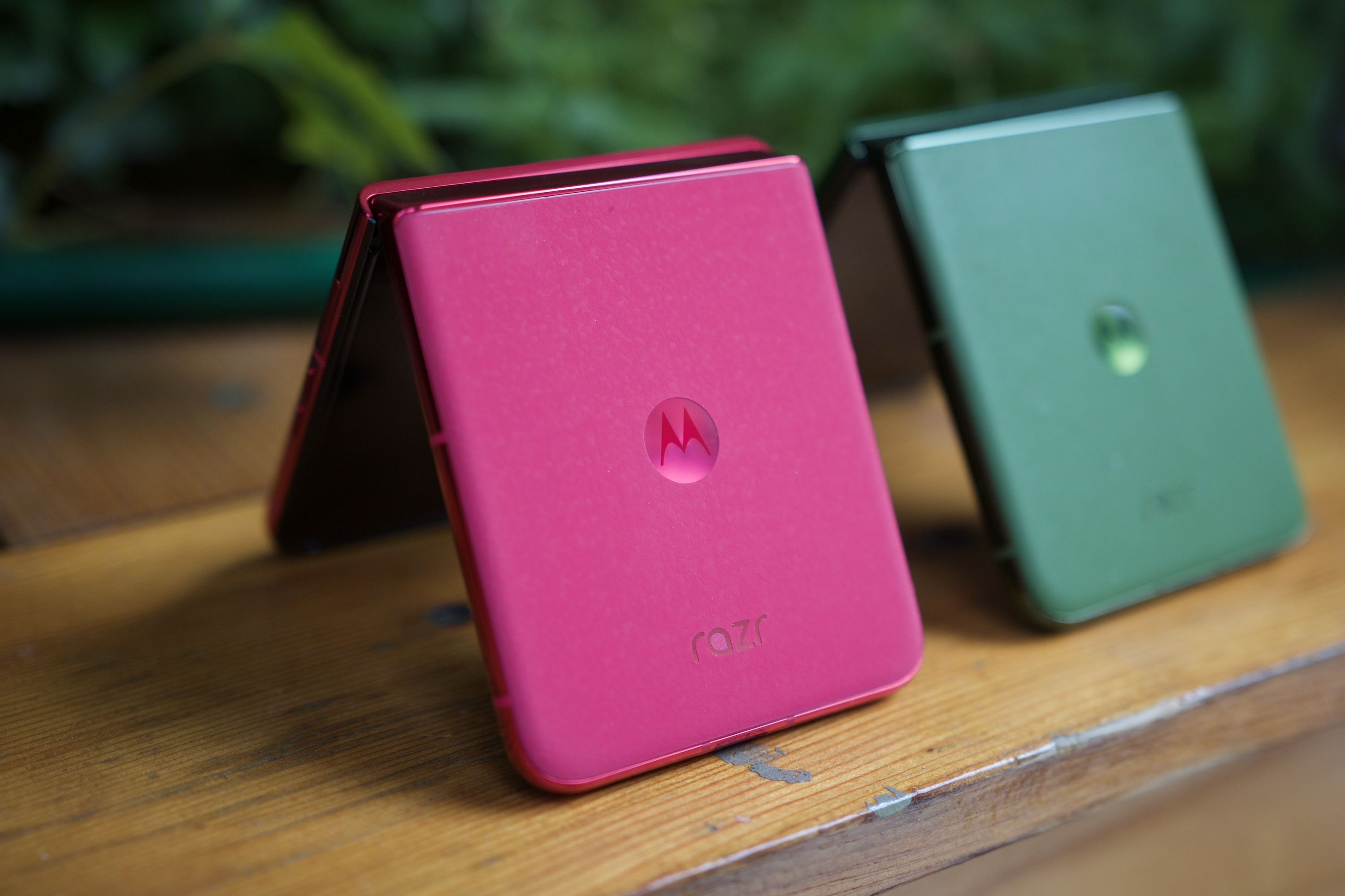 The backs of the Motorola Razr Plus 2024 in pink and green colors.