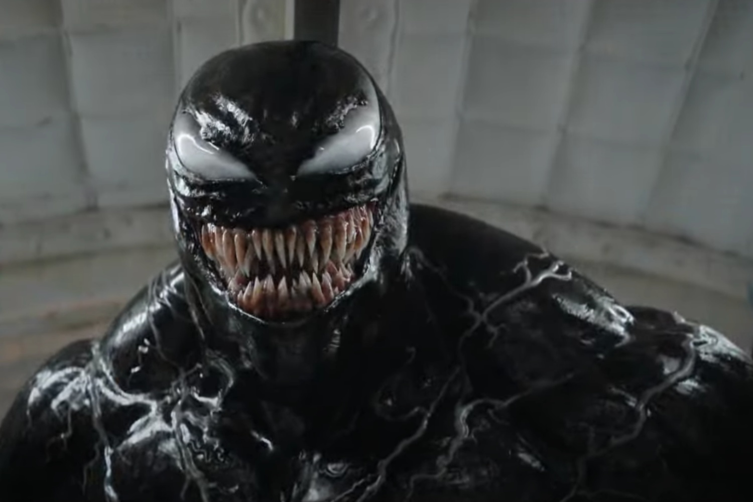 Venom mira fijamente y sonríe.