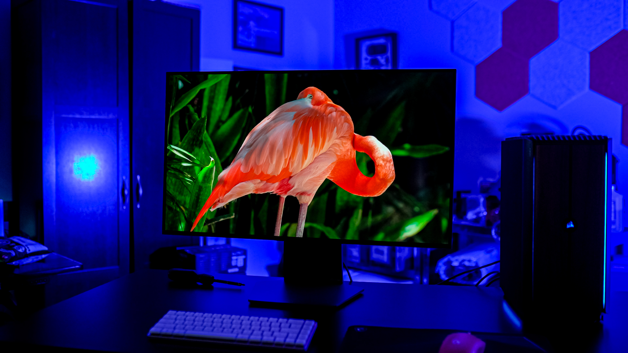 Un fenicottero sul monitor OLED LG UltraGear Dual Mode.