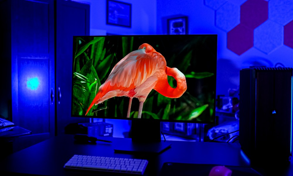 A flamingo on the LG UltraGear Dual Mode OLED monitor.