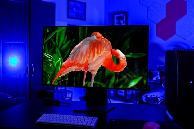 A flamingo on the LG UltraGear Dual Mode OLED monitor.