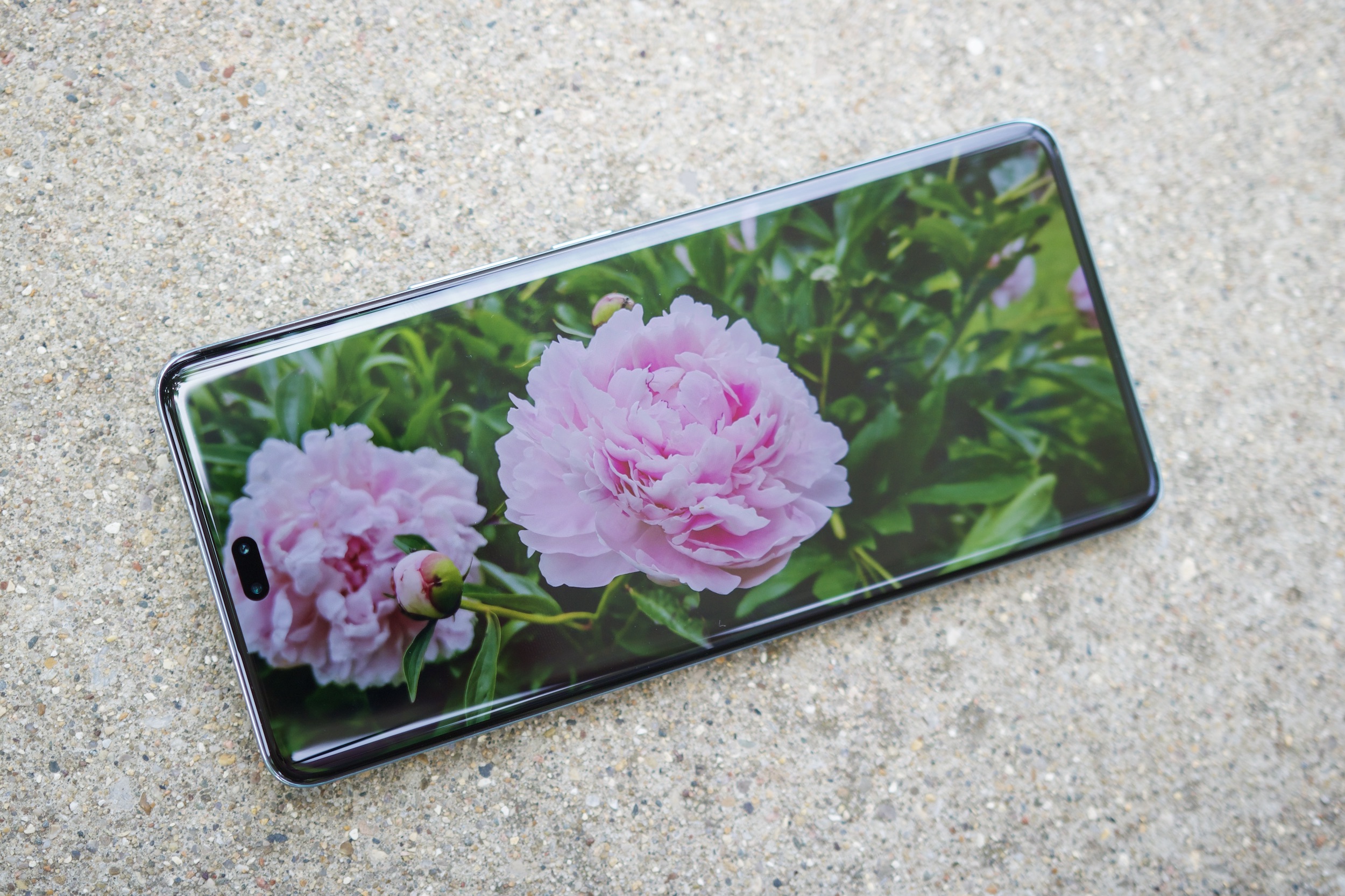 El Honor 200 Pro, con su pantalla encendida que muestra una imagen de flores rosas.