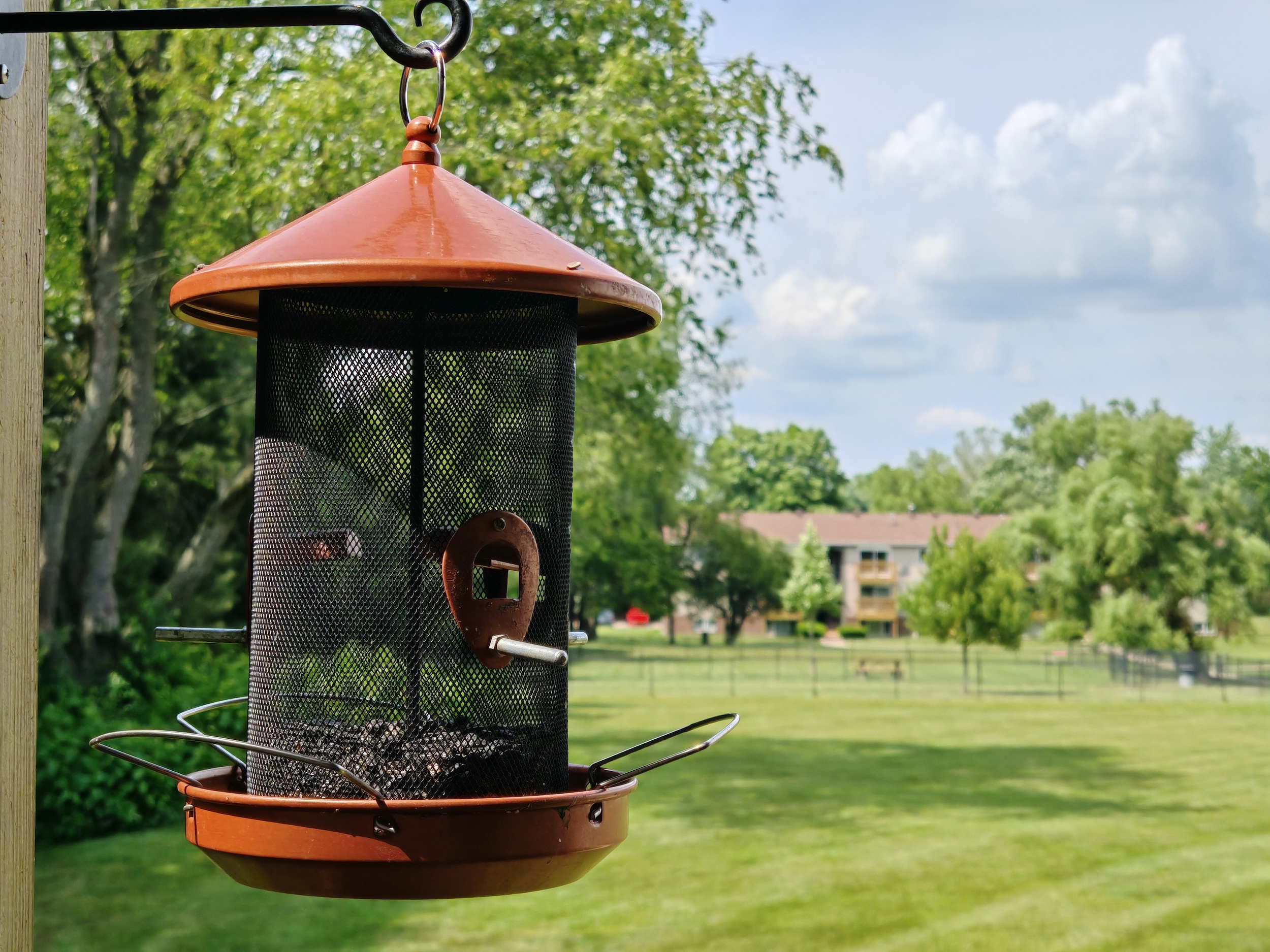 Una foto de un comedero para pájaros afuera en un patio, tomada con el Honor 200 Pro.