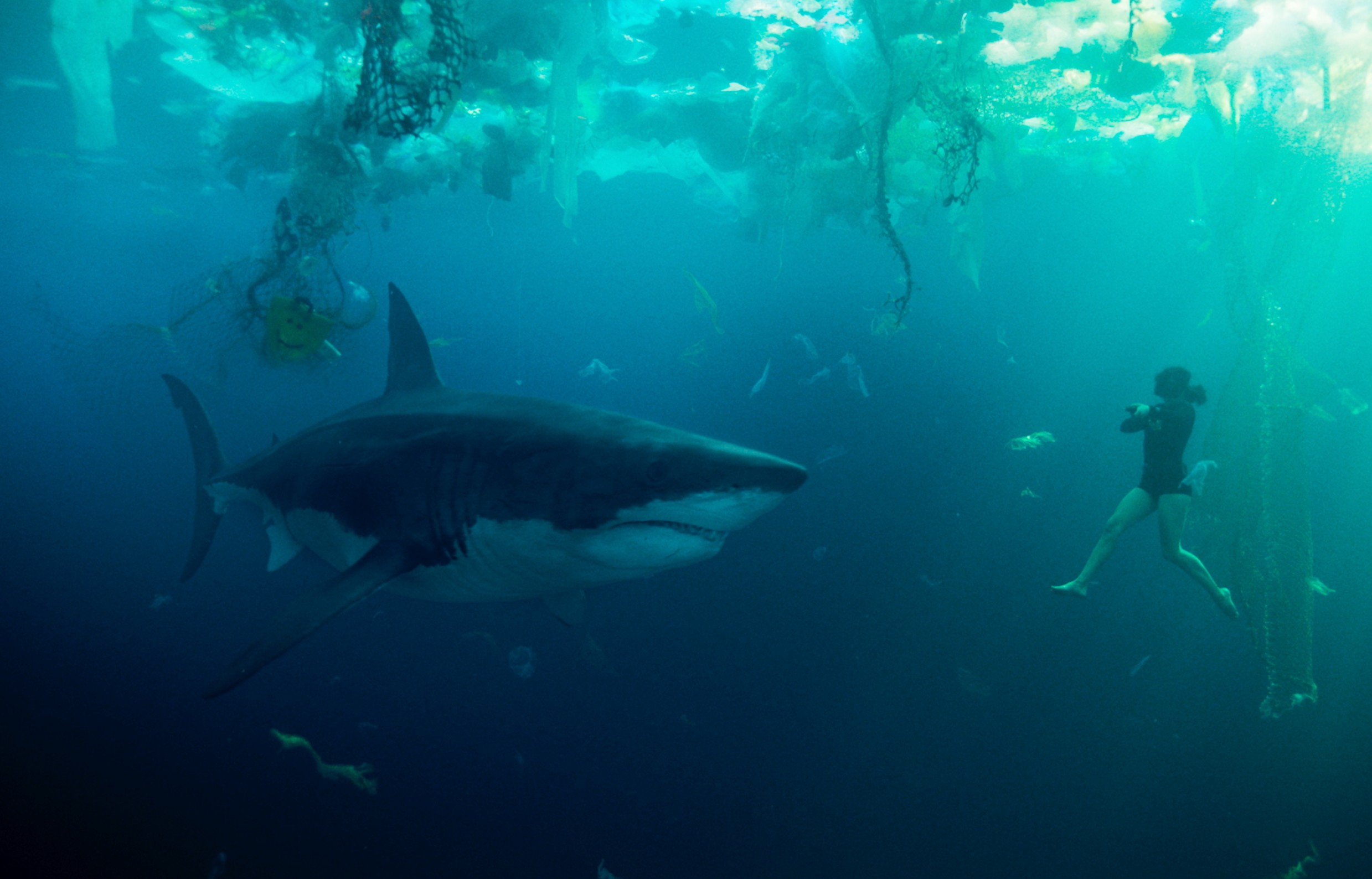 Why is the killer shark movie Under Paris so popular on Netflix right now?