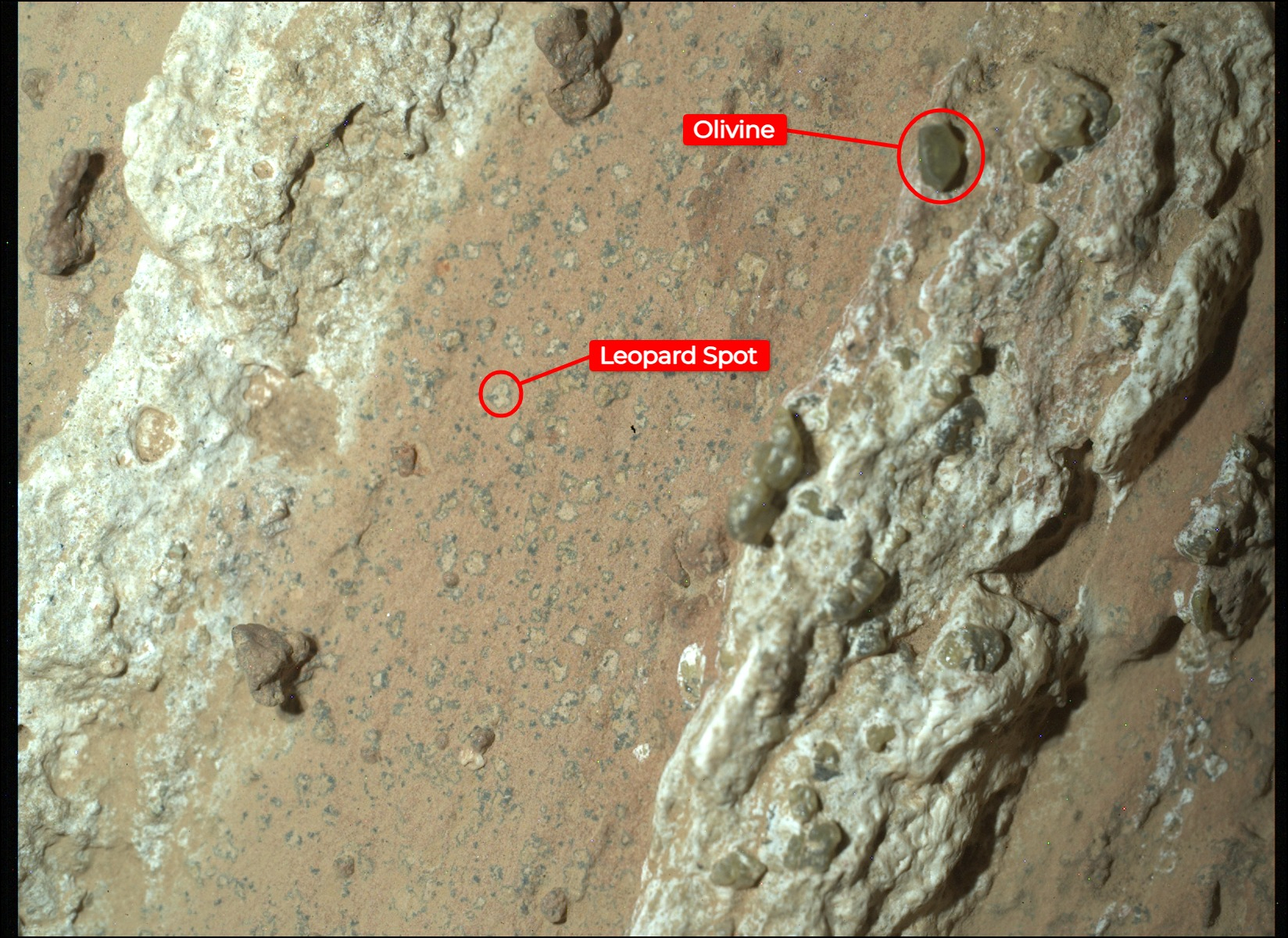 El rover Perseverance de la NASA descubrió "manchas de leopardo" en una roca rojiza apodada "Cheyava Falls" en el cráter Jezero de Marte en julio de 2024. Los científicos creen que las manchas pueden indicar que, hace miles de millones de años, las reacciones químicas en esta roca podrían haber sustentado la vida microbiana; Se están considerando otras explicaciones.