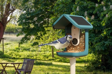 What is a smart bird feeder?