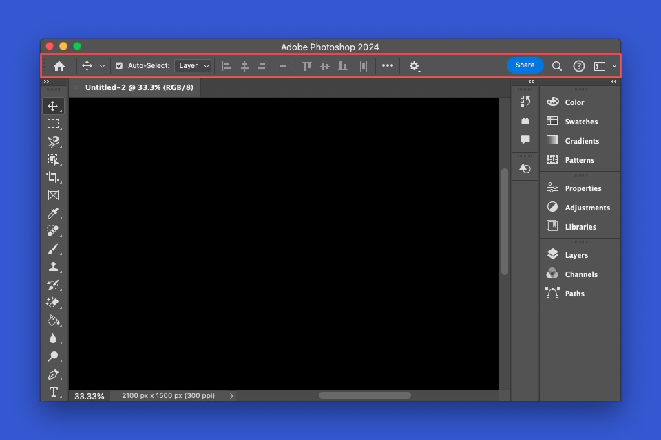 Photoshop Application and Options bar.