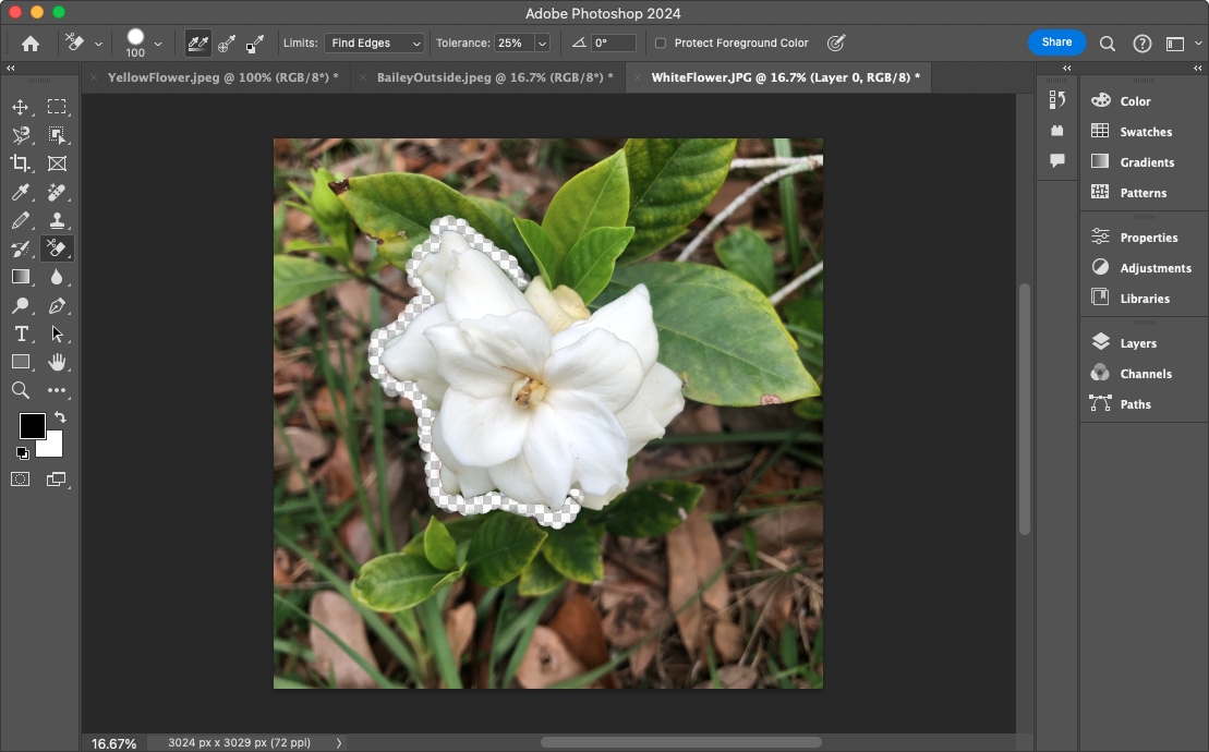 How to remove a background in Photoshop