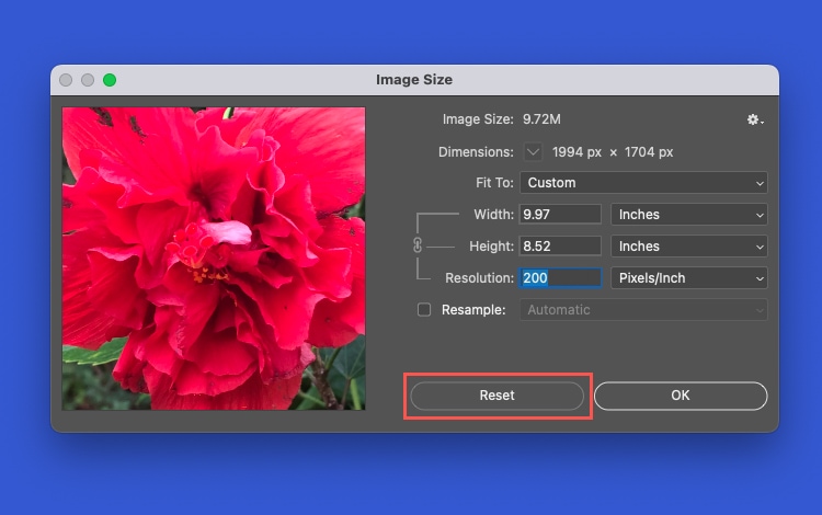 Reset in the Photoshop Image Size window.