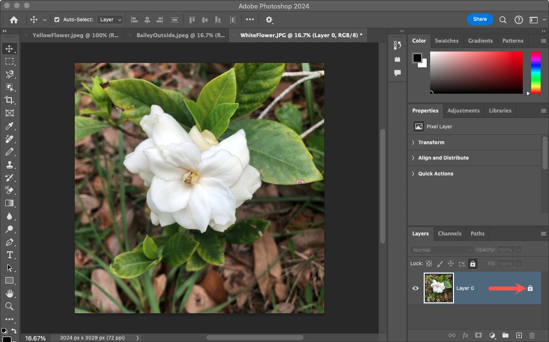 How to remove a background in Photoshop