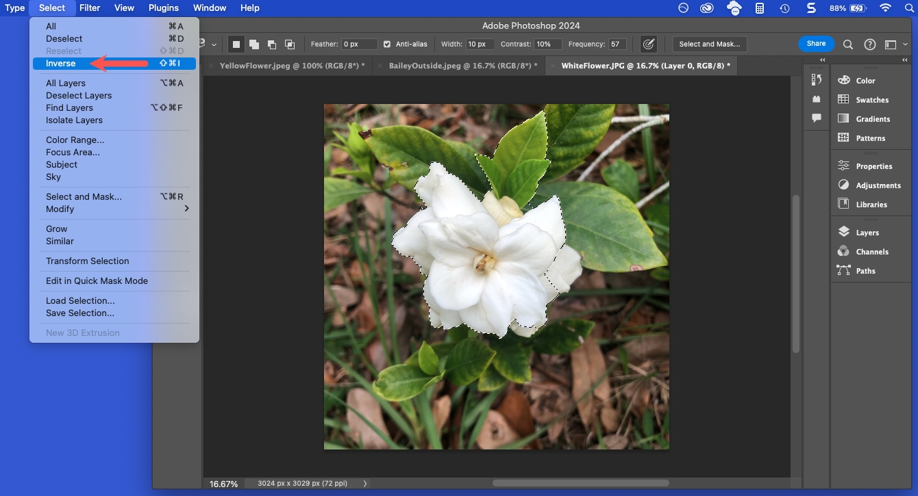 How to remove a background in Photoshop