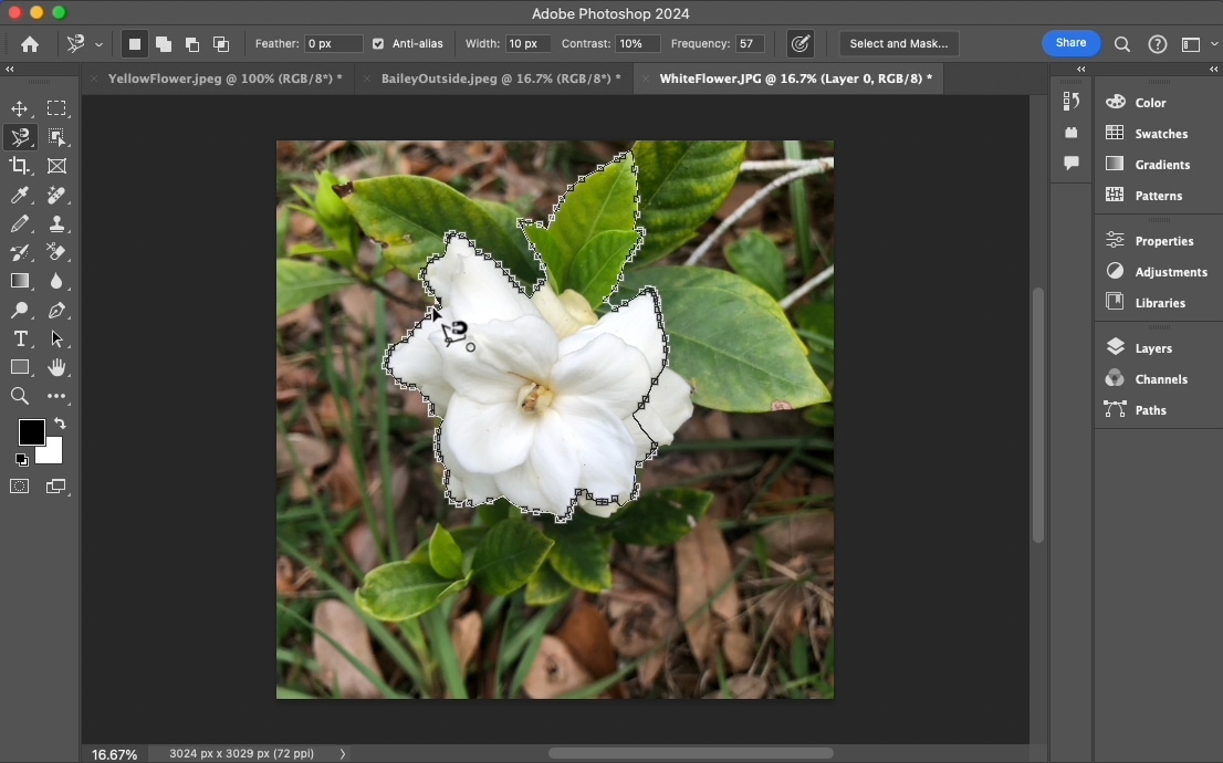 How to remove a background in Photoshop